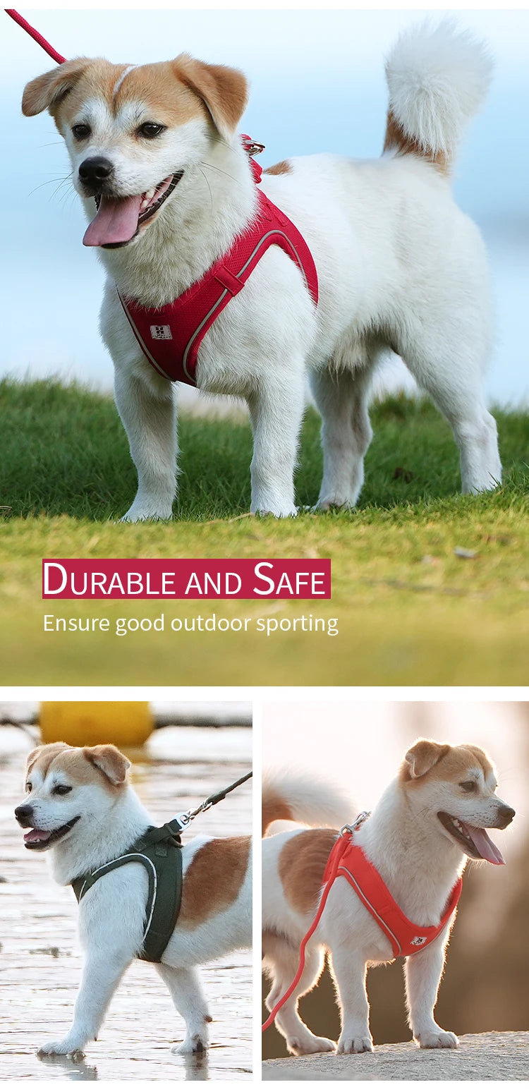 Adjustable Dog Harness & Leash Set – Reflective Vest for Small & Medium Dogs, Puppies & Cats