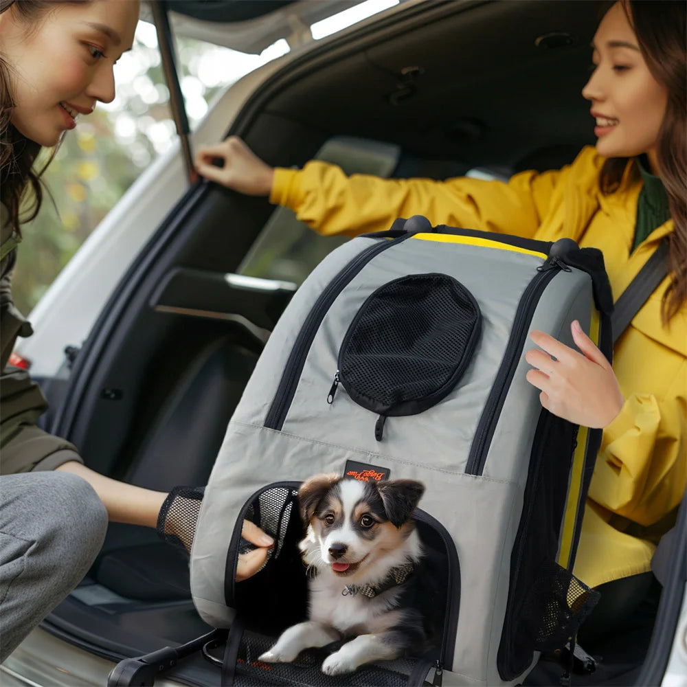 2-in-1 Folding Portable Pet Stroller & Travel Crate – Collapsible Dog Pushchair and Car Seat for Small Dogs & Cats