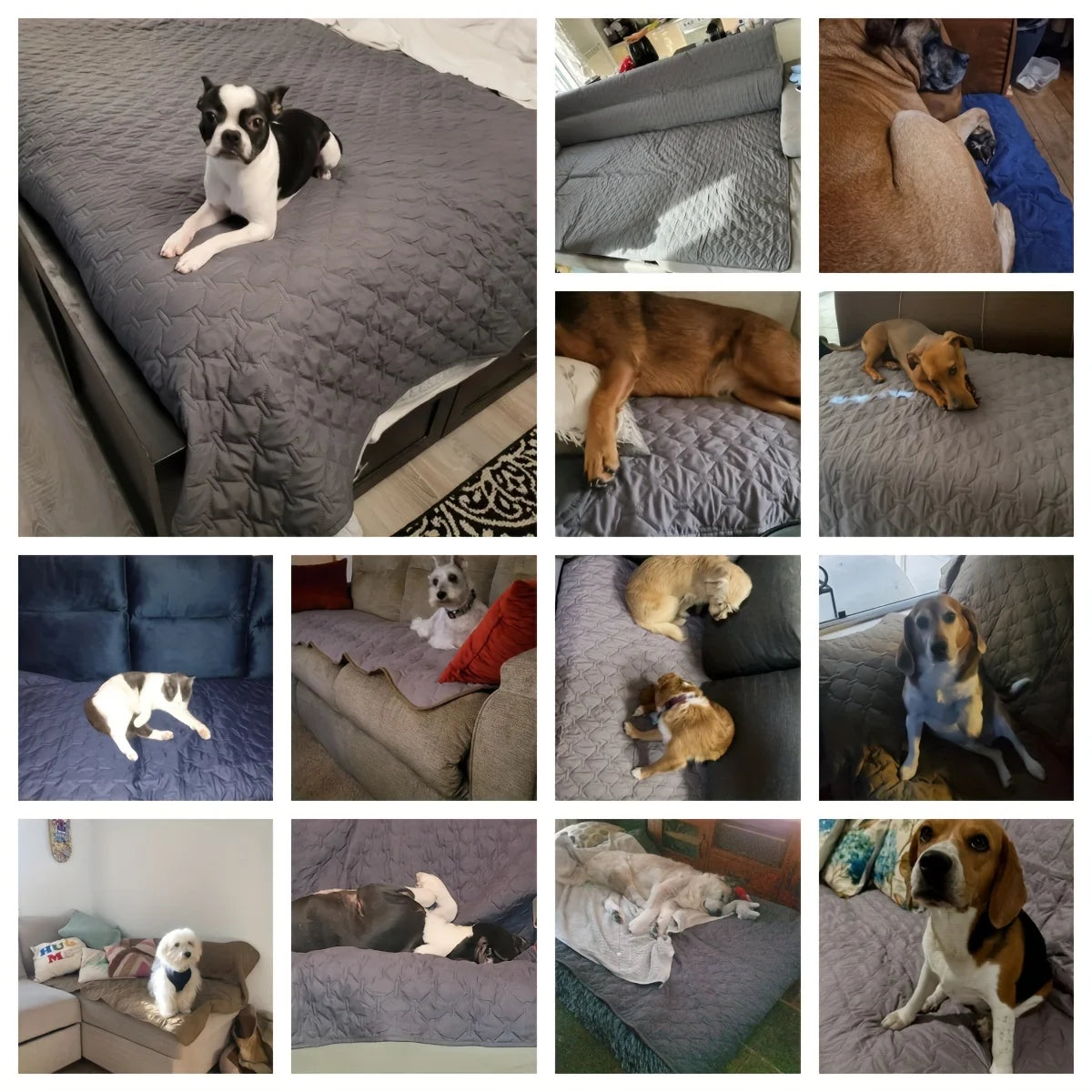 Double-Sided Waterproof Dog Bed Cover – Pet Blanket & Sofa Furniture Protector for Dogs