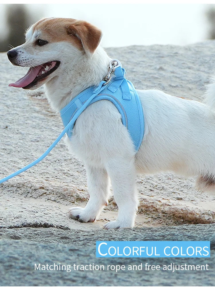 Adjustable Dog Harness & Leash Set – Reflective Vest for Small & Medium Dogs, Puppies & Cats